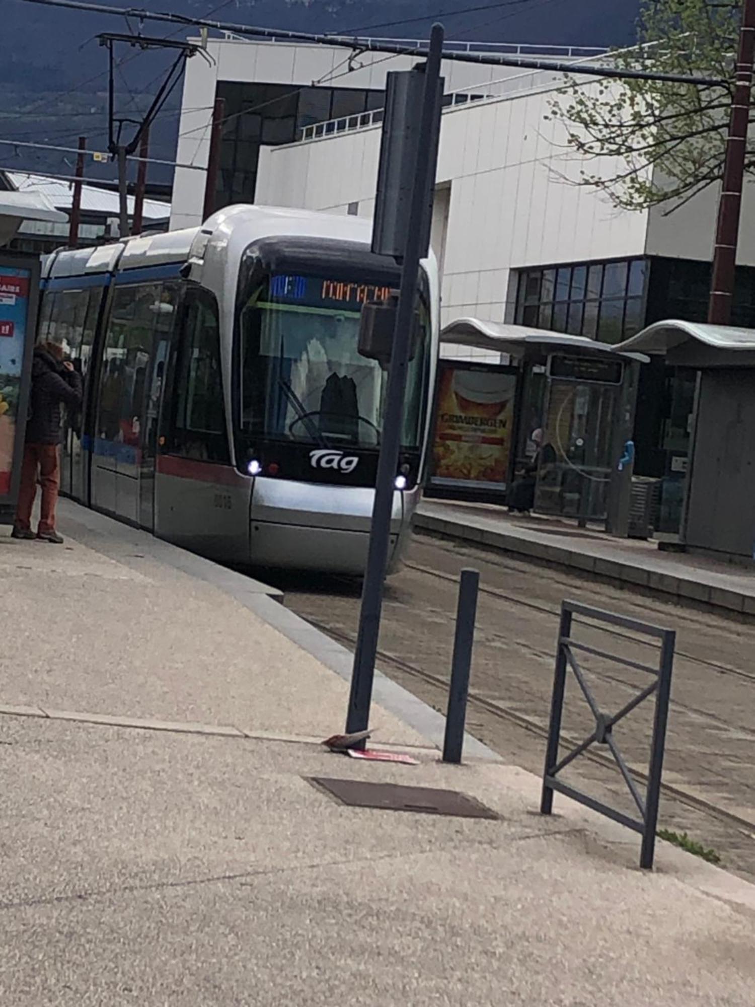 Ferienwohnung Soyeux De La Bruyere/ Grenoble*Parking Gratuit Exterior foto